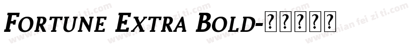 Fortune Extra Bold字体转换